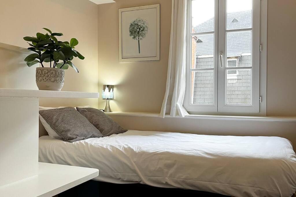 Апартаменти #Le Maillard #Grand F2 #Hyper Centre Брив-ла-Гаярд Екстер'єр фото